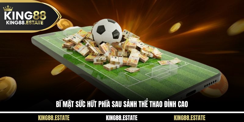 Bí mật sức hút phía sau sảnh thể thao đỉnh cao
