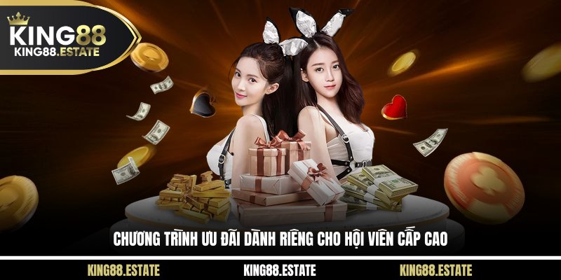 Chương trình ưu đãi dành riêng cho hội viên cấp cao
