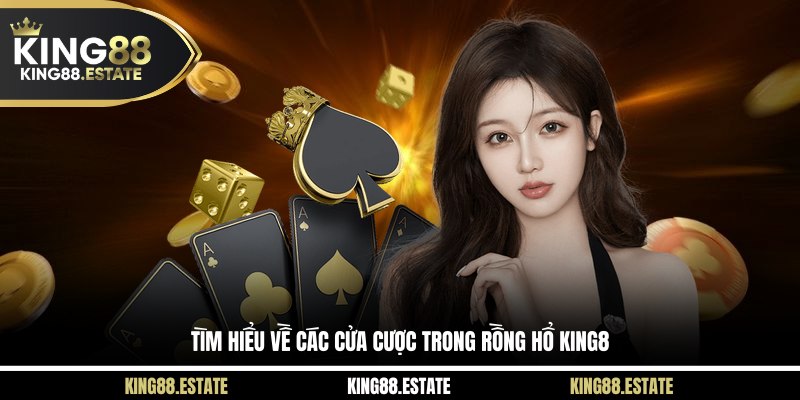 Tìm hiểu về các cửa cược trong rồng hổ KING8