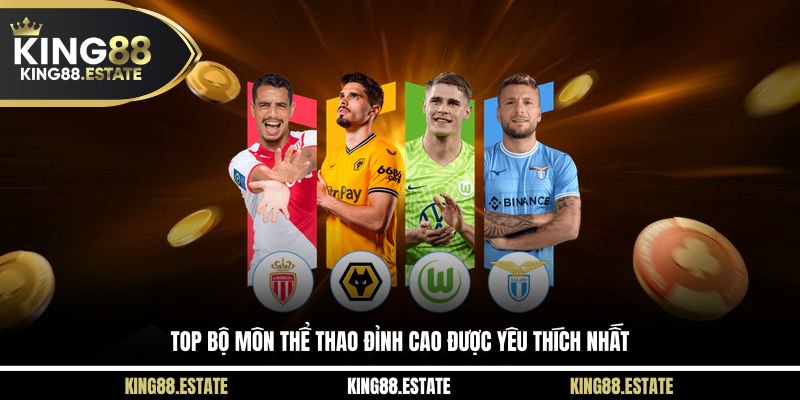 Top bộ môn thể thao đỉnh cao được yêu thích nhất